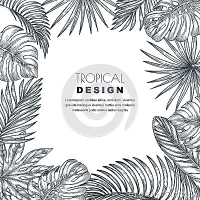 Tropical palm leaves vector square frame. Sketch hand drawn illustration of jungle exotic plants Vector Illustration