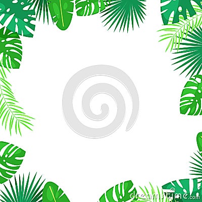 Tropical palm leaves vector square frame. White background with place for text. Jungle summer cartoon illustration. Vector Illustration