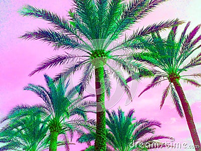 Tropical palm tree in retro vapor synth wave neon 80`s summer vibe saturated in bright pink and ufo green exotic trend pop art Stock Photo