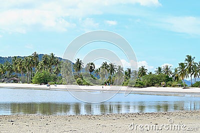 Tropical Palm Trees at Laem Haad Beach on Koh Yao Yai Island Stock Photo