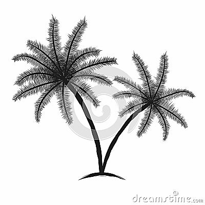 Tropical palm trees with leaves. Black silhouettes isolated palm trees on white background Vector Illustration