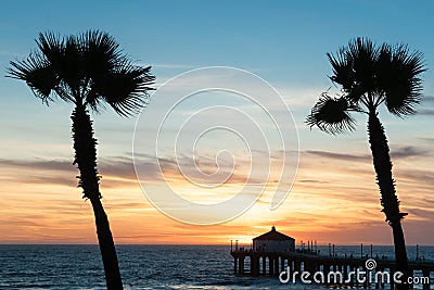 Tropical palms along Californian beaches. Stock Photo