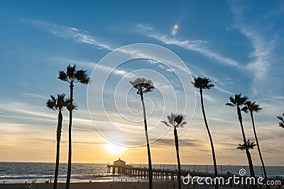 Tropical palms along Californian beaches. Stock Photo