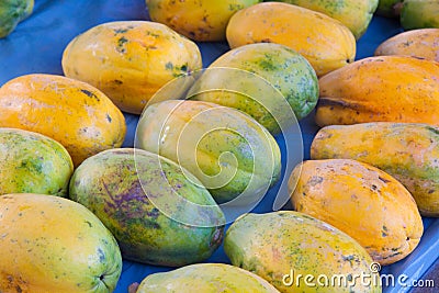 Tropical Papayas Stock Photo