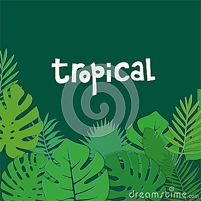 Tropical paper cut Green background with palm and monstera leaves and lettering quote. Monstera leaves square frame. Summer Stock Photo