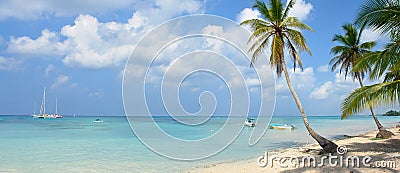 Tropical Paradise Stock Photo