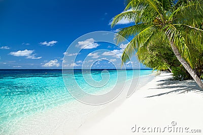 Tropical paradise beach background Stock Photo