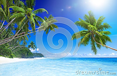 Tropical Paradise Beach with Palm Tree Stock Photo