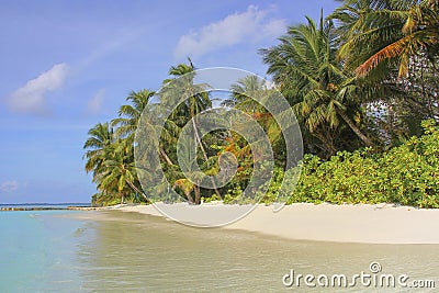 Tropical paradise beach with white sand and coconut palm trees. Stock Photo