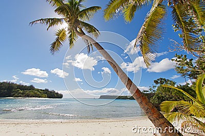 Tropical Paradise Polynesian Beach Ocean Sea Crystal Water Clear Sand Stock Photo