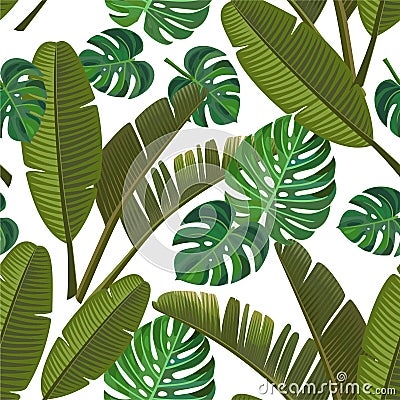 Tropical pattern with banana leaves and monstera. Vector seamless texture. Vector Illustration