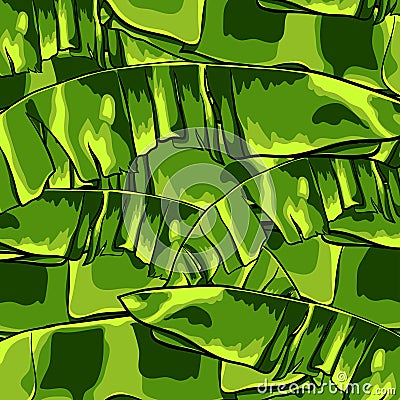 Tropical pattern with banana leaves. Vector illustration. Vector Illustration