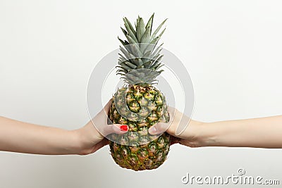 Tropical pineapple Stock Photo