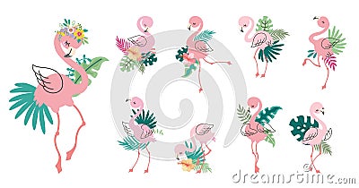 Tropical pink flamingo. Cartoon flamingos clipart with exotic palm leaves. Different africa birds, beach party stickers Vector Illustration