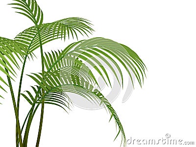 Tropical plant Stock Photo