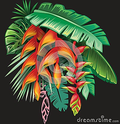 Tropical plants and Heliconia flowers Vector Illustration