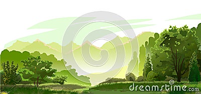 Tropical plants, herbs. The jungle, the savannah. Vector. Dense thickets of meadow. Light foggy green horizon, lush young grass an Vector Illustration