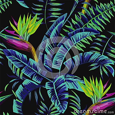 Tropical plants in the jungle night Vector Illustration