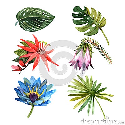 Tropical plants leaves watercolor sketch icons Vector Illustration