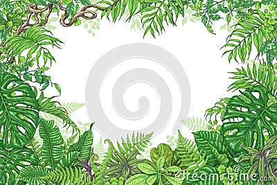 Tropical Plants Rectangle Frame Vector Illustration