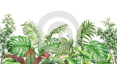 Tropical Plants Seamless Border Stock Photo