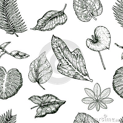 Tropical Plants Seamless Pattern Vector Illustration