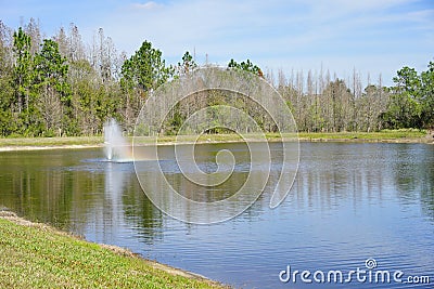 Tropical pond Stock Photo