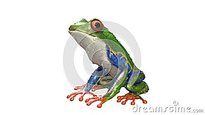 A tropical rain forest animal with vibrant eye isolated on a white background Stock Photo