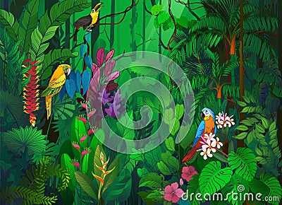 Tropical Rain Forest with colorful birds in illustration Vector Illustration