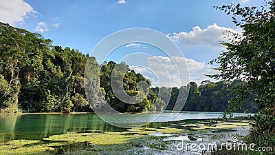 Tropical rainforest reservoir Stock Photo