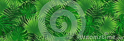 tropical rainforest template banner. Amazon foliage repeated vector background with exotic tropic leaves, plants and Stock Photo