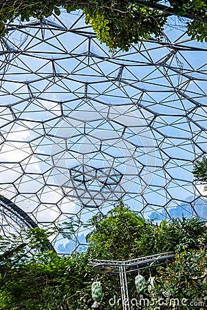 Tropical rainforest vegetation inside the Eden Project bio-dome, vertical. Editorial Stock Photo