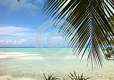 Tropical scene in Fiji with palm trees in the sunset by the ocean Stock Photo