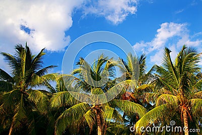 Tropical scenery Stock Photo