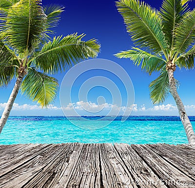 Tropical Seascape With Wooden Plank And Palm Trees On The Turquoise Ocean Stock Photo