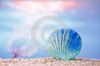 Tropical seashell sea shell on sand with ocean Stock Photo
