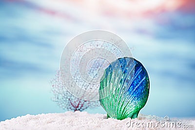 Tropical seashell sea shell on sand with ocean Stock Photo