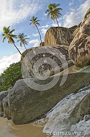 Tropical seaside wilderness Stock Photo