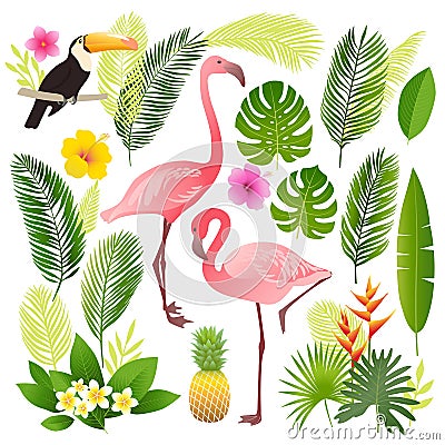 Tropical set. Palm leaves, tropical plants, flowers, pineapple, flamingo, toucan. Vector Illustration