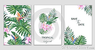 Tropical set of pattern, frame, bouquet on white background Stock Photo