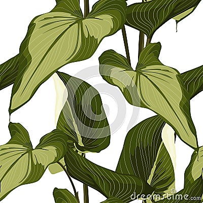 Tropical Spathiphyllum palm leaves, jungle leaves. Beautiful seamless floral jungle pattern. Stock Photo