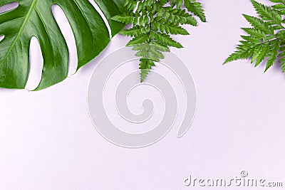 Tropical split leaves and fern on pastel pink background Stock Photo