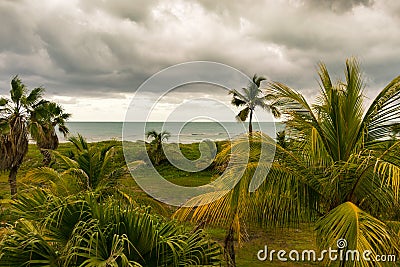 Tropical storm clouds over palm trees and seascape Stock Photo