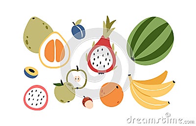 Tropical summer fruits set. Exotic healthy vitamin food. Ripe sweet nutrition. Cut apple, plum, pomelo, whole watermelon Vector Illustration