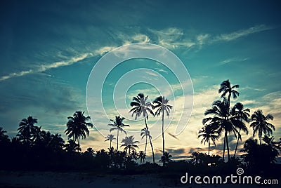 Tropical sunset Stock Photo