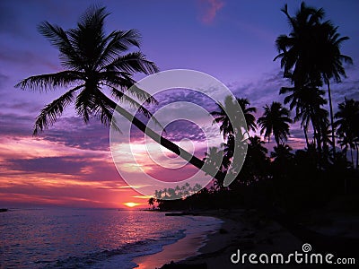 Tropical sunset Stock Photo