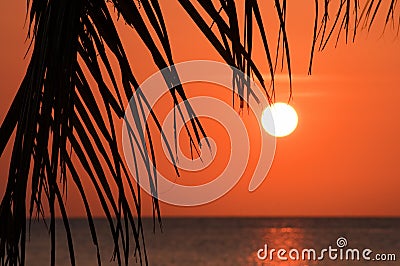 Tropical sunset over sea Stock Photo