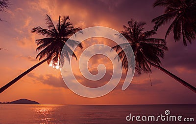 Tropical sunset. Palm trees on the background of the Pacific Ocean. Thailand. Stock Photo