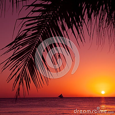 Tropical sunset. Sea, palm and sun. Stock Photo