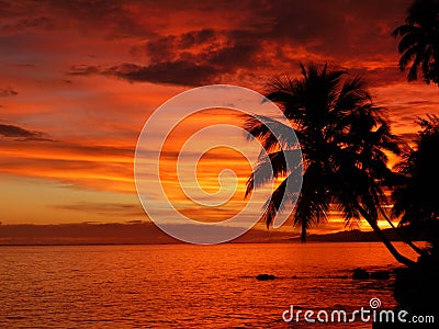 Tropical Sunset Stock Photo